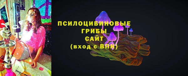 а пвп мука Богданович