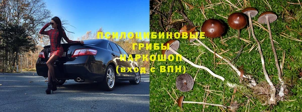 дживик Строитель