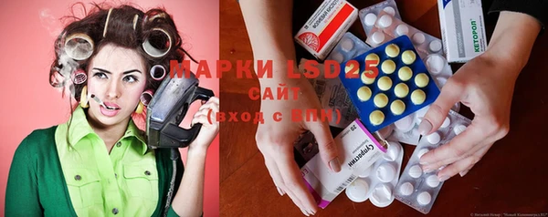 прущие грибы Ступино